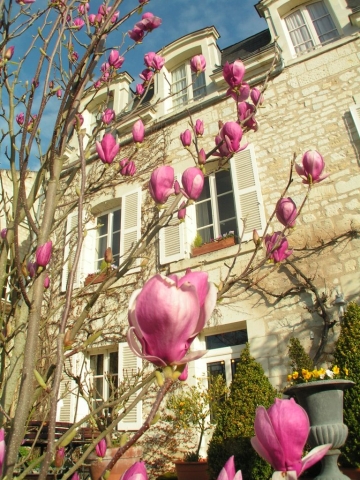 Hôtel de charme ; Chinon ; parking ; bar ; terrasse ; jardin ; proche restaurants ; proche centre-ville